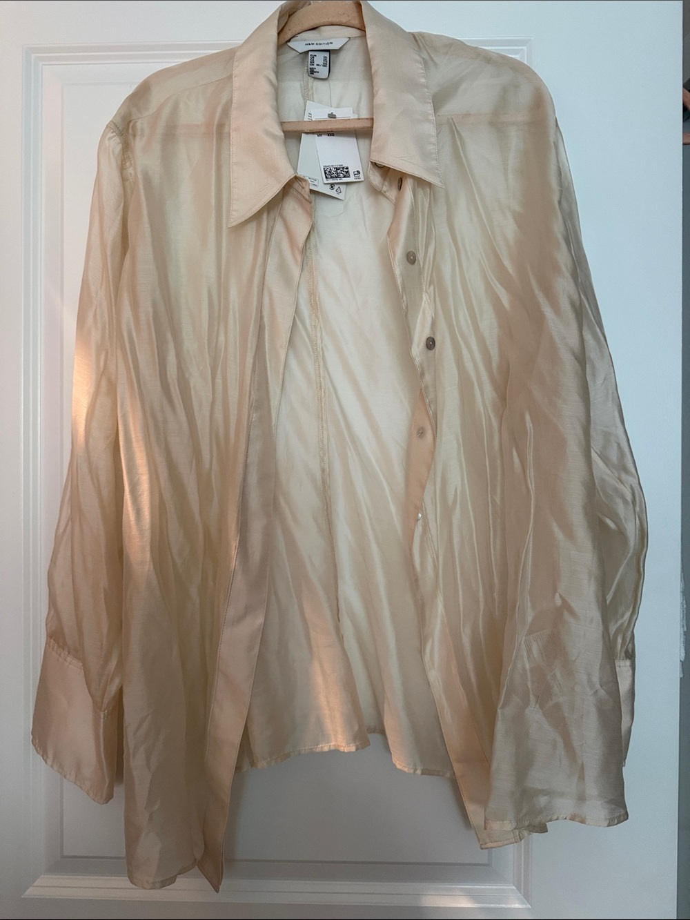 H&M Women’s Sheer Light Beige Button-Up Shirt